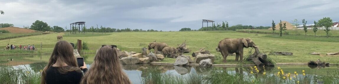 1686242986503-1150×647