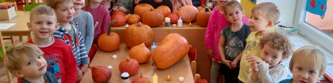 IMG_20221103_075434-1150×618