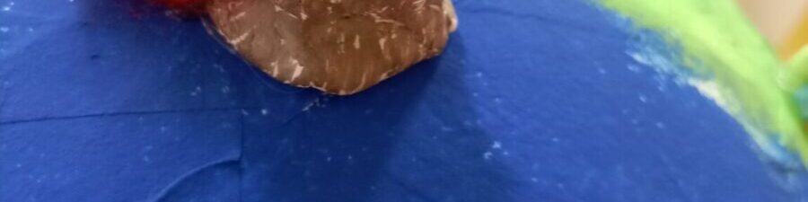 IMG_20230424_143851-1150×1533