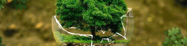 mec-ekologie-priroda