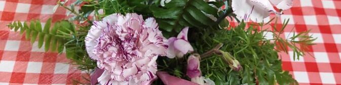 Kopie souboru 1695535465061