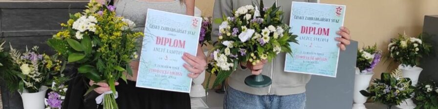 Obrázek WhatsApp, 2025-05-29 v 16.36.30_e3ddb8f1